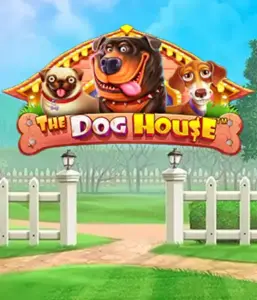 Pragmatic Play's The Dog House, featuring a fun-filled journey through playful pups. Discover gameplay elements including multipliers, perfect for delivering joyful moments. A must-try for animal enthusiasts a lighthearted setting alongside lucrative rewards.