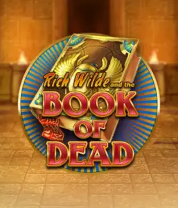 Dive into the thrilling world of Book of Dead by Play'n GO, featuring vivid graphics of Rich Wilde's journey through ancient Egyptian tombs and artifacts. Uncover lost riches with engaging mechanics like free spins, expanding icons, and a gamble option. Ideal for adventure seekers with a desire for exciting finds.